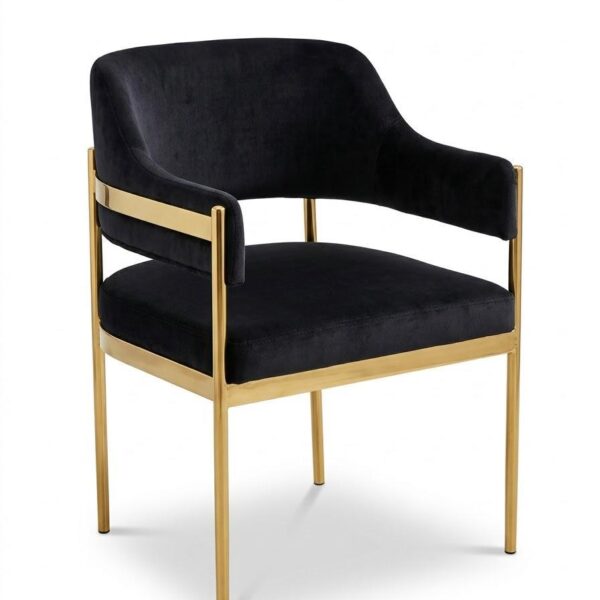 Glossy Black Medallion Ghost Chair
